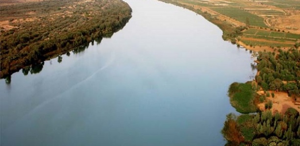 Menaces de crue sur le fleuve Sénégal : Après Matam et Bakel, Kidira passe au rouge
