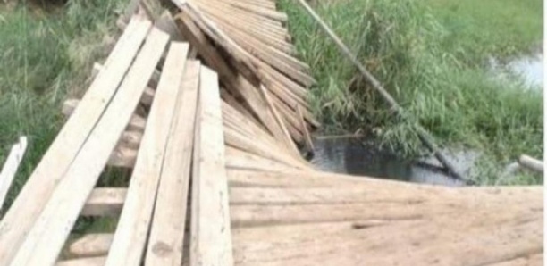 Sédhiou : Le pont de Diopcounda a cédé, les conséquences sont désastreuses