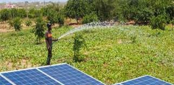 Transition écologique : pourquoi le Sénégal reste en marge des financements climatiques mondiaux