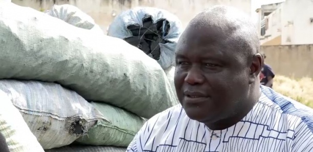 [Vidéo] Tamba: Cherté du charbon de bois à cause de l'interdiction de la coupe de bois