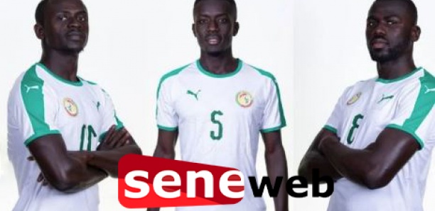 Transferts, salaires... : Les Lions pèsent 211, 9 milliards... Mané, Gana et Koulibaly sur le podium
