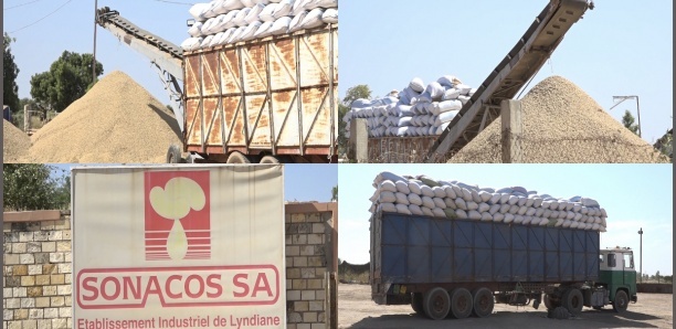 Sonacos : Une plainte contre Alpha Diallo et Cie