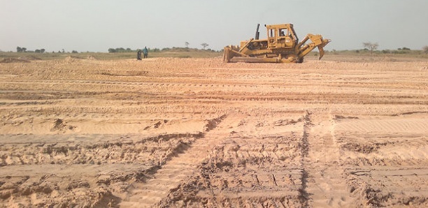 Fimela/Palmarin 5000 ha cédés à une entreprise indienne : Le Gouverneur de Fatick arrête les activités du projet Sen Agrocel