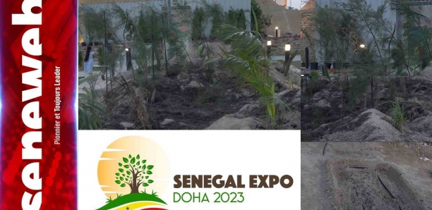 Expo Doha 2023: La zone des Niayes érigée en modèle