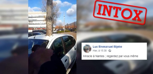 "Miracle à Nantes" : mais comment cette voiture a-t-elle été transpercée par un arbre ?