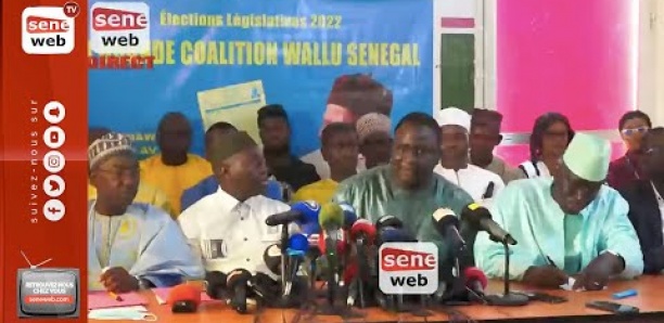 [Vidéo] Lancement Wallu-Yewwi : « C’est une coalition politique de destruction massive » (Habib Sy)
