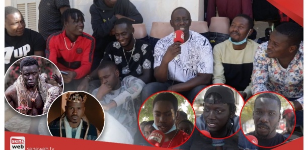 Dip ou Ngaaka: Qui est le vrai King ? Voici la réponse des Sénégalais