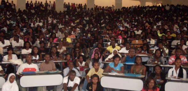 Vacances  citoyennes  2022 : L'UCAD mobilise 300 volontaires  dans les communes  de Sandiara, Niakhene  et Khombole