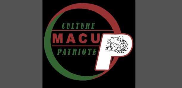Diagnostic du secteur de la Culture: le MACUP sonne l'alerte