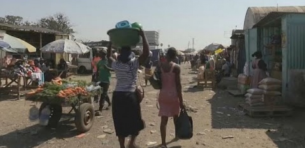 Elections au Zimbabwe : les jeunes veulent du changement