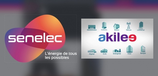 Amadou Ly : "Akilee n'est pas en train de remplacer Senelec, mais…"