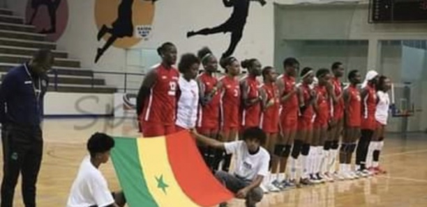 Volley-ball : Deux candidats en lice pour le fauteuil de la présidence de la fédération.