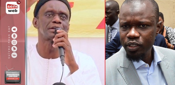 Accusations contre Sonko : "Les politiques doivent se méfier des salons de massage" (MMG)