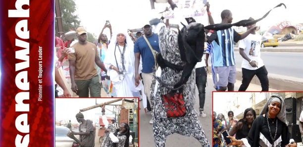 Safar : La voyante Yaye Fall distribue des kits à la population de Diamaguen