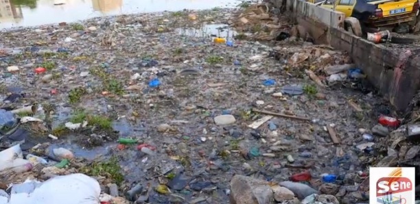 Bassins transformés en dépotoirs d'ordures : ONAS appelle à un changement de comportement