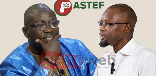 Cheikh Yerim Seck : «En finir définitivement avec l’affaire Sonko même s’il faut tuer 90% des Sénégalais»