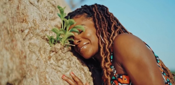 Nofeya - SENEGAL / Vibrant Rhythms of Senegal