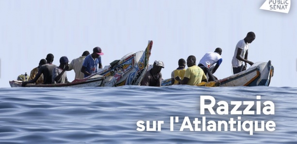 Razzia sur l’Atlantique: Documentaire sur le pillage des côtes sénégalaises