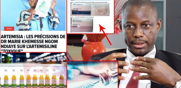 Faux tests, vaccins, artemisia...: Pr Idrissa Demba Ba fait des précisions de taille