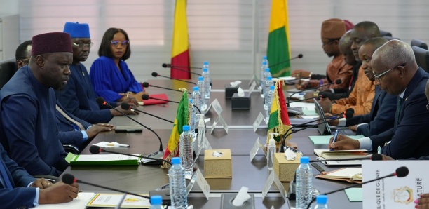 Conakry : Séance de travail entre Sonko et le chef du gouvernement guinéen (photos)