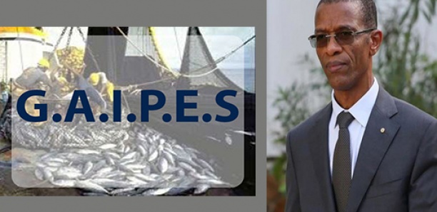 Licences de pêche accordées à des étrangers : Alioune Ndoye dénonce un «chantage» de Gaipes