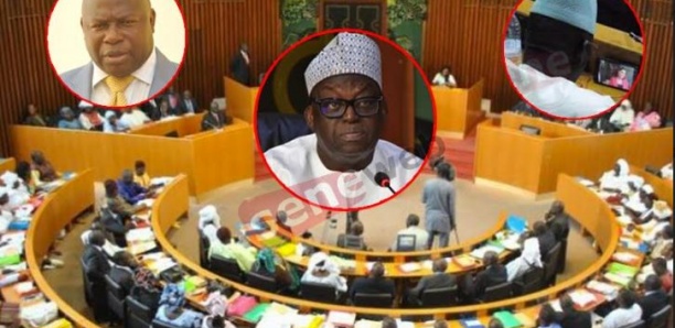 [Billet du jour] Assemblée nationale, les faux et la fiction ! (Par Salla GUEYE)