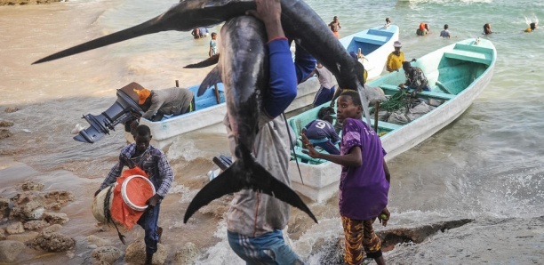 Aire marine protégée à Somone : Un projet de décret de Macky Sall hante le sommeil des populations