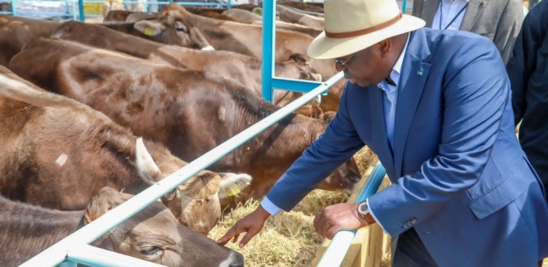[Images] Macky Sall dans une ferme à Niagues