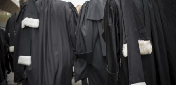 Formation : Trente juristes à l'école du Droit international