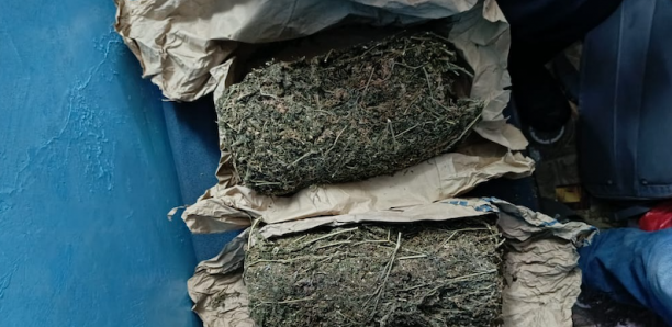 Ziguinchor : Un cultivateur arrêté par la police avec 2 kg de "yamba" à Yamatogne