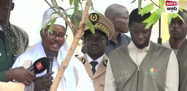 Journée de l'arbre à Touba: Le discours de Cheikh Bass devant le Président Diomaye Faye