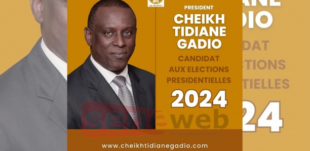 Présidentielle de 2024 : Cheikh Tidiane Gadio déclare sa candidature