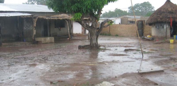 Hivernage à Kédougou : Premières pluies enregistrées dont 60 mm à Saraya