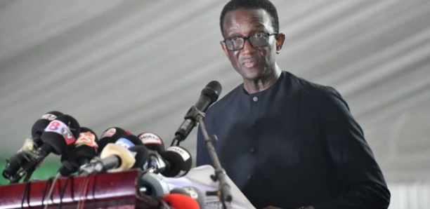 Candidat de Bby à la Présidentielle 2024 : Ce que Aliou Sall prépare pour Amadou Bâ