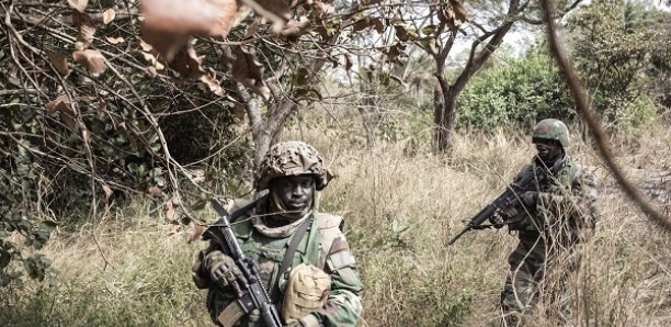 Bombardement contre les bases de Salif Sadio : L’armée perd un second Jambar
