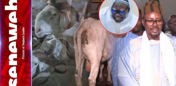 Magal Serigne Abdou Khadr : Le geste fort de Serigne Mountakha à l'endroit de Cheikh Bass