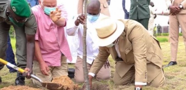 [PHOTOS] Célébration de la Journée nationale de l'arbre : Macky plante un baobab à Diamniadio