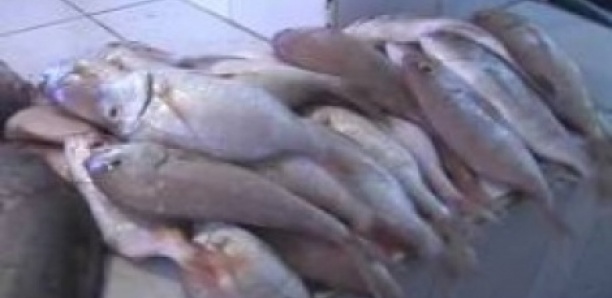 Propagation du Covid-19 : Quid du Marché central au poisson ?