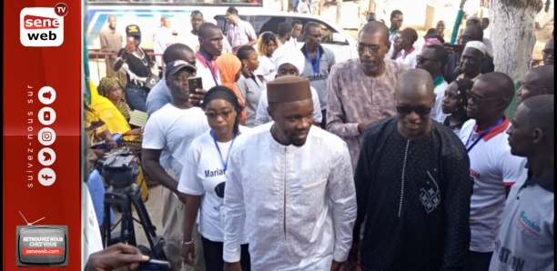 Affaire Adji Sarr : Revivez la conférence de presse des avocats de Sonko