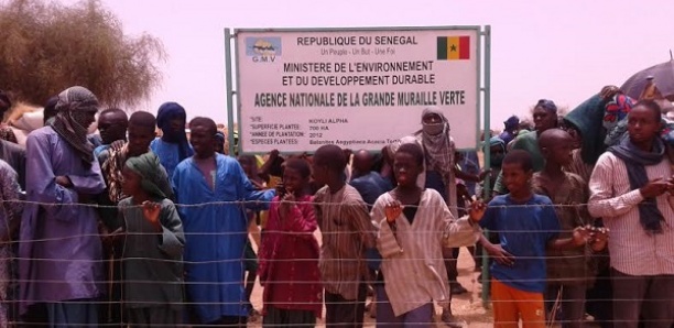 Tambacounda : Les agents de la Grande muraille verte sont restés 3 mois sans  salaire