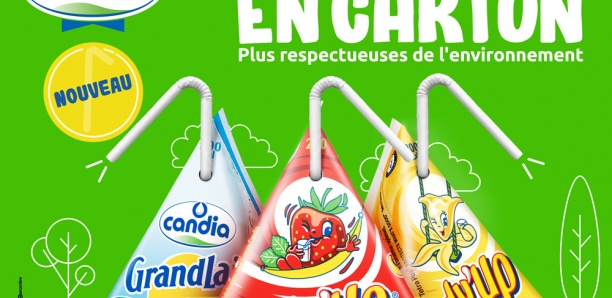 Des pailles en carton, pour protéger l’environnement