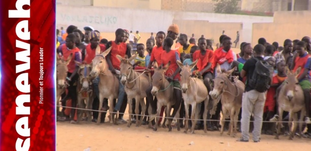 «MBAMODROME» 2023 THIES : ‘’Ousmane Sonko’’, vainqueur devant ‘’Adji Sarr’’ et ‘’Abdoulaye Wade’’