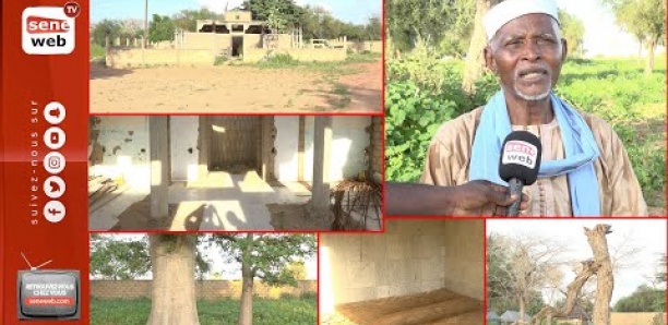 [Découverte] Ndiarndé : Plongée dans l’université populaire de El Hadji Malick Sy