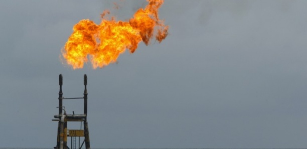 Affaire Petro-Tim : L'ancien DG de Pétrosen chez le doyen des juges