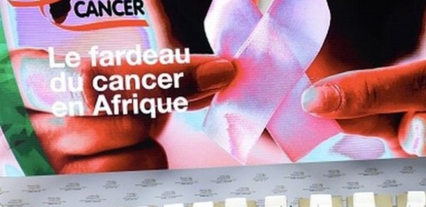 Aziz Salmone Fall : «Dakar, une ville extrêmement polluée où tout le monde va avoir un cancer d’ici 50 ans»