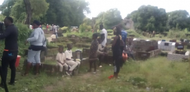Sédhiou : Le cimetière de Julescounda infesté d'abeilles et de serpents