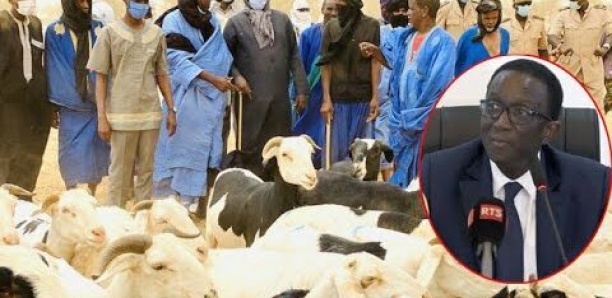 Moutons : Amadou Ba reconnaît un "déficit" à Dakar