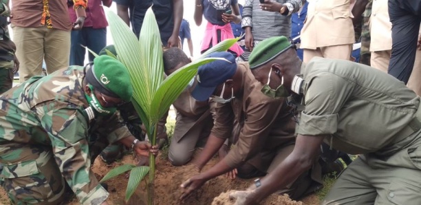 Thiadiaye : Oumar Youm lance une opération de plantation de 3000 arbres