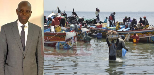 Budget : Près de 46 milliards de FCFA pour les Pêches et l'Économie maritime