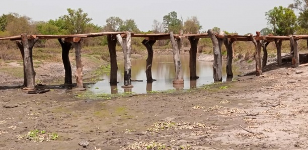 [Photos] Désenclavement du Fouladou/Pakao : 5 communes voisines construisent le "pont de l'émergence locale"